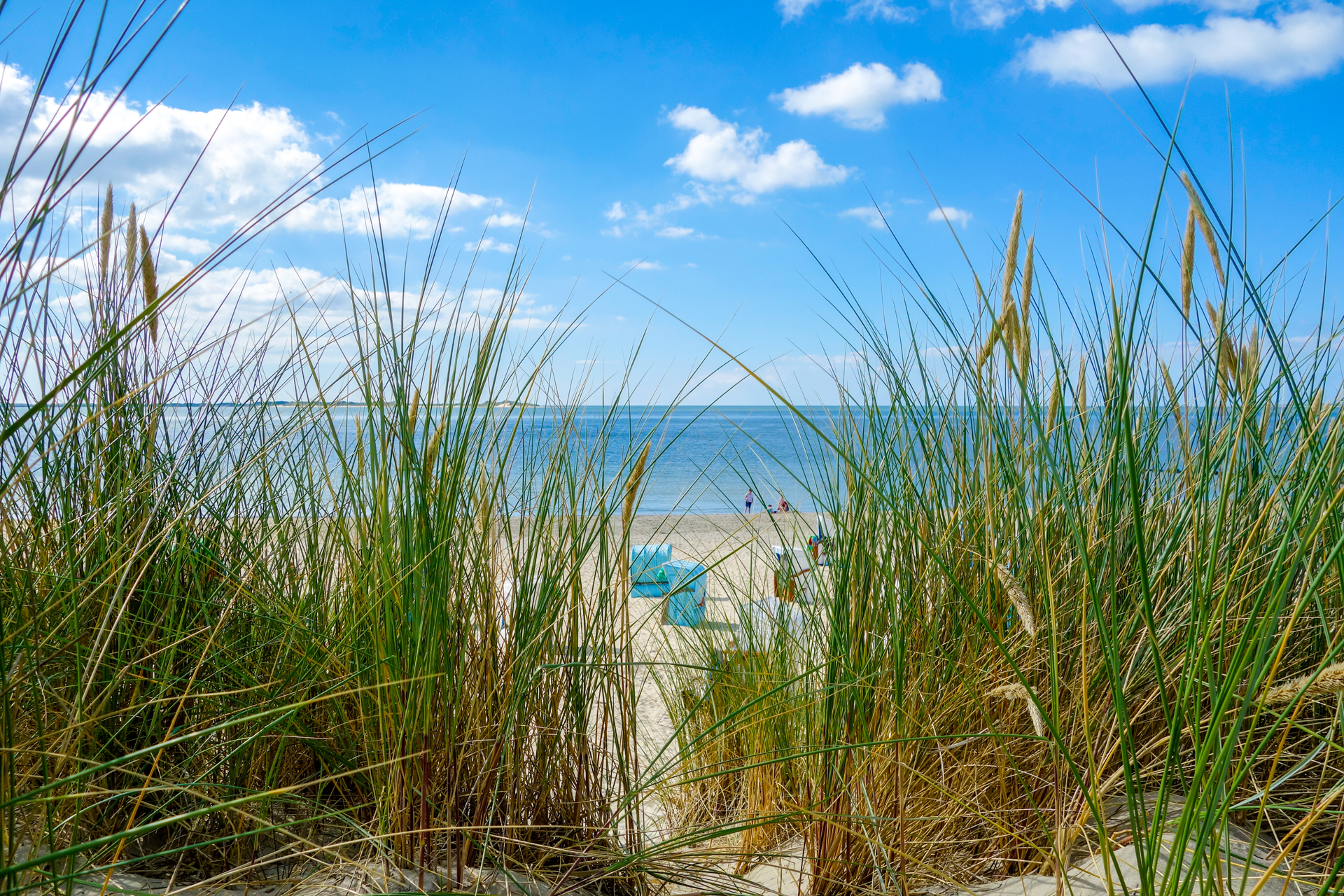 Wunderschöne Natur